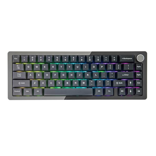 キーボード Seijyo K65 RGB MINI（CH-9194014-JP） 有線 日本語配列60%サイズ