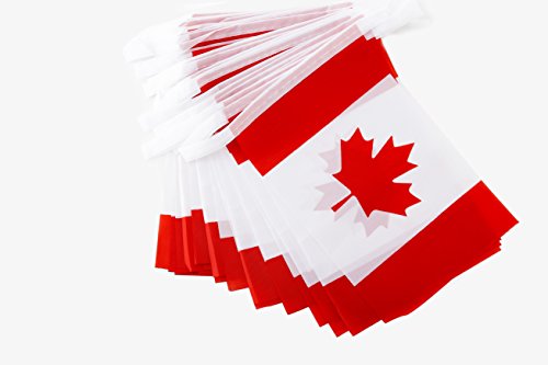 TSMD Canada Flag, 100 Feet Canadian Flag National Country Flags Banner,Party Decorations Supplies for Grand Opening,Olympics,Bar,School Sports Events,International Festival Events Celebration