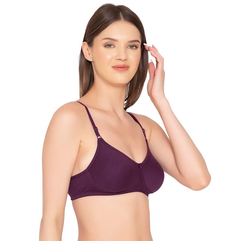 Image of Groversons Paris Beauty Women's Pack of 2 Seamless Non-Padded, Non-Wired Bra (COMB09)