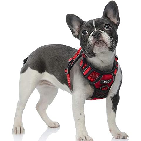 TwoEar Dog Harness, No Pull Reflective Harness Front Clip Easy Control Handle Adjustable Soft Padded Pet Vest for Puppy Small Medium Large Dogs Breed Pet(Small,Red) Cover
