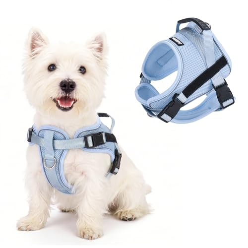 AIITLE Harnais de Chien Anti-Traction avec poignée, réfléchissant - Harnais pour Chiot réglable, Doux et Confortable, en Mesh Respirant pour Toutes Les...