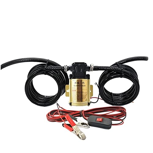 Bomba diésel de gasolina eléctrica 12V y 24V, bomba autocebante Universal alta potencia Bomba Industrial(Golden 12V,Pump 4m line 4m tube)