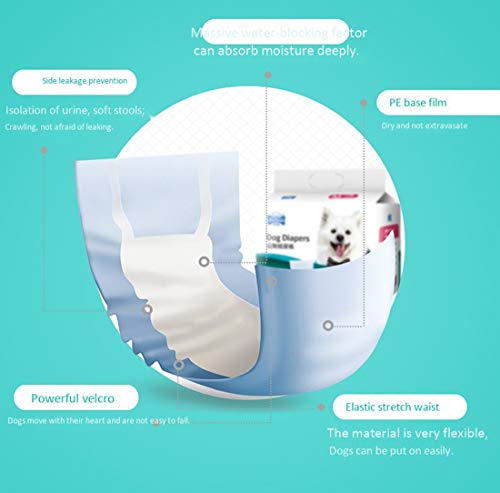 Couches jetables pour animaux de compagnie mâles avec absorption - 6