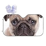 Pug Dog Windshield Sunshade for Car SUV Truck Foldable Uv Ray Reflector Front Window Sun Shade Visor Shield Cover