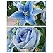 Vejkl 2 Set Artificial Cemetery Flowers with Grave Vase-2 Bunches Lilies & Rose Mixed Blue Silk Memorial Flowers-2 Cemetry Vase with Foam for Outdoor Headstones Gravesite Graveyard Decorations