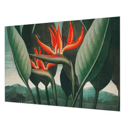 Papier peint intissé fleurs exotiques mural grand format