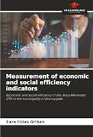 Measurement of economic and social efficiency indicators 6208903149 Book Cover