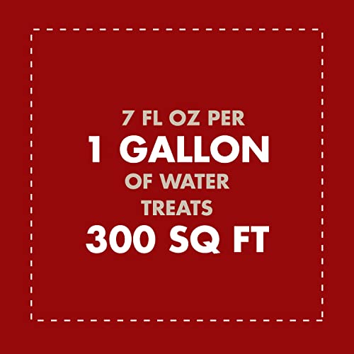 Spectracide Weed And Grass Killer Concentrate 1 Gallon, Use On Patios, Walkways And Driveways & Southern Ag Surfactant For Herbicides Non-Ionic, 16Oz, 1 Pint #TOP3