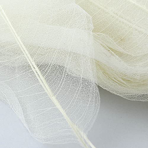 Folhas de esqueleto de magnólia seca natural misturada faça você mesmo