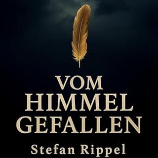 Vom Himmel gefallen Titelbild