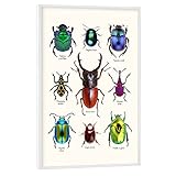 Format: 30x20 cm Poster mit weißem Rahmen | Belichtung auf hochwertigem Fotopapier (233 g/m²) | Großartige Qualität made in Germany