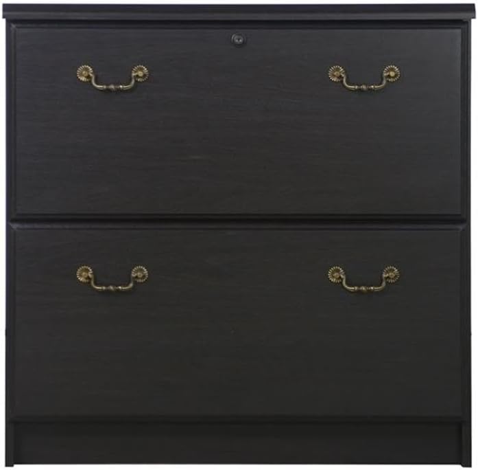 Pemberly Row Transitional Wood Lateral File Cabinet, Espresso Finish, 2 Drawers, Particle Board MDF Construction, 30 in x 19.5 in x 30.3 in, Brass Hardware, Locking Home or Office Storage