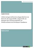 zwickau wetter 14 tage  Arbeit mit gewaltbereiten Jugendlichen im Bereich der Jugendhilfe, dargestellt am Beispiel der Schulsozialarbeit an Förderschulen im Zwickauer Landkreis