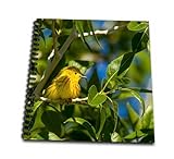 8 x 8 Inch spiral bound Glossy hard covered 9/16 inch Twin loop wire binding spine 50 unlined pages, 8 x 7.75 inches - page thickness is 80lb text Acid free blank bright white non-coated paper Pages lay flat when book is opened