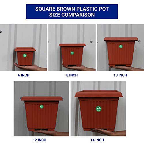 TrustBasket UV Treated Square Plastic Planter (8 inches) - Terracotta Color - Set of 3 | Heavy Duty Highly Durable Plant Container Gamla for Indoor Home Decor & Outdoor Balcony Garden