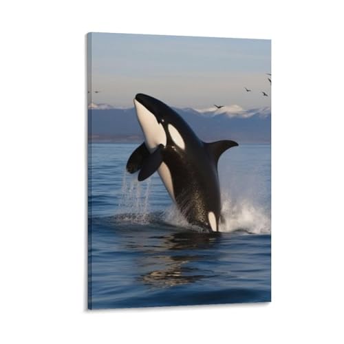 Toile murale imprimée épaulard grand tableau déco nature marine 40 x 60 cm avec cadre