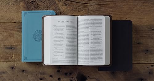 ESV Value Compact Bible (TruTone, Raspberry, Floral Design): Holy Bible, English Standard Version - image 3