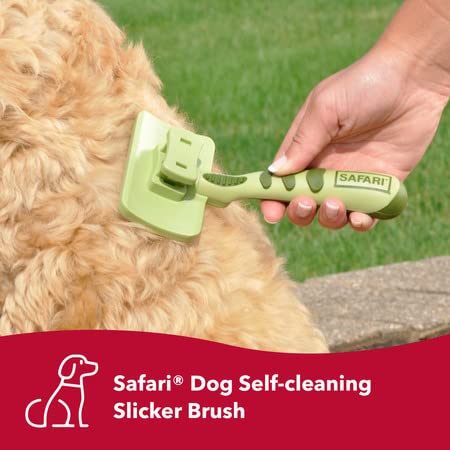 Coastal Pet Safari Dog Self-Cleaning Slicker Brush - Dog Deshedding Brush - Prevents Mats And Tangled Hair - For Dogs With Short Or Long Hair - Large - 8" X 4.5" #TOP1