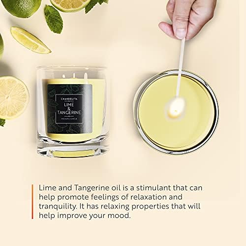 CHANDELITA Scented candle with aroma and essential oils of lime and mandarin  Crafted with soy wax  Citrus fragrance with ivy scent and oriental wood.