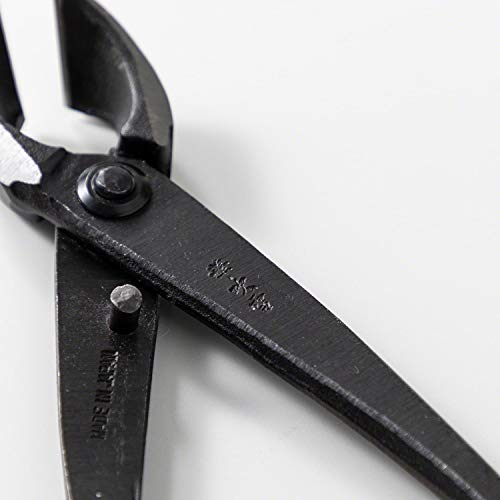 Wazakura Handgeschmiedete Bonsai-Zange 200 mm, Made in Japan - Konkavzange Schwarz