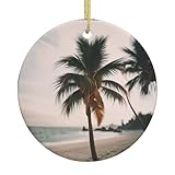 Dimensions précises : avec une taille de 7,4 x 7,4 x 0,4 cm, il est parfaitement proportionné pour accrocher un sapin de Noël à motif Pigeon 2. Le cordon doré inclus est solide et flexible, permettant une installation facile sur n'importe quelle branche crochet ou clou sans glisser.