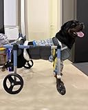 Silla de Ruedas Ajustable para Perros con parálisis - Carrito de rehabilitación de 2/4 Ruedas, Tallas XS-XXL, Andador con Ayuda de elevación para Perros pequeños y Grandes, Soporte de movili