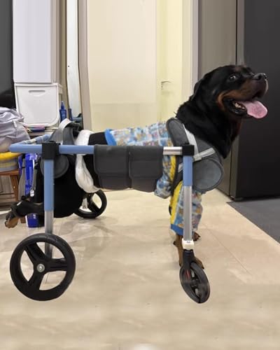 Silla De Ruedas para Perros Ajustable 2/4 Asistencia Recuperación para Carro Rehabilitación Mascotas