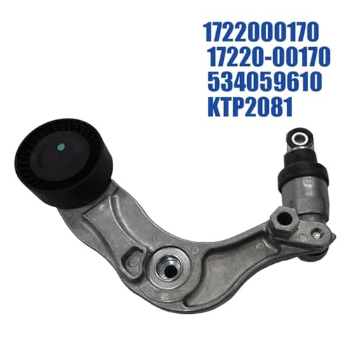 Courroie auxiliaire résout sifflement moteur SsangYong II 2.0 tendeur 17220-00170 - 2