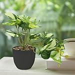 Kunstpflanze (20cm) in Töpfen, 3 Stück Mini Künstliche Pflanzen, Monstera Fake Pflanzen, Innen und Außen Kunstpflanzen Wie Echt Geeignet für Tischdeko, Zimmer, Wohnzimmer, Badezimmer Deko – Bild 5