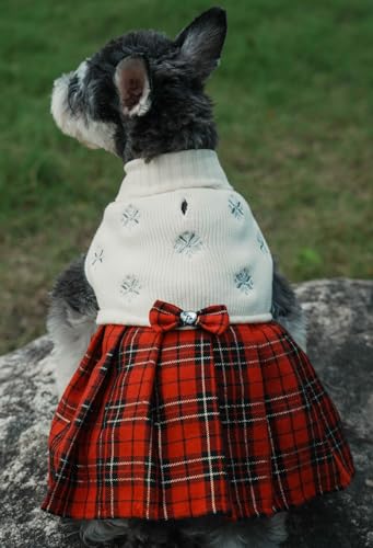 Robe pull tricot blanc chien L : évite les frissons en promenade
