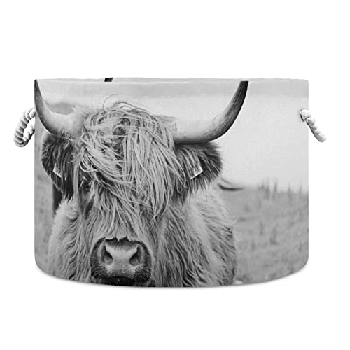 Xigua Cotton Rope Basket Highland Cow Baby Laundry Basket Blanket Kids Toy Storage Basket Glove Box #TOP15