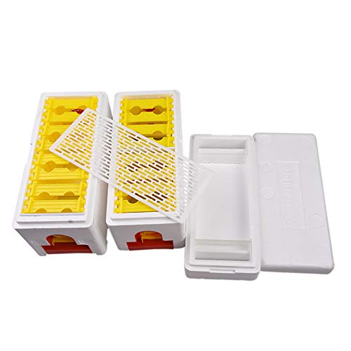 Bee Hives Boxes Plus Double Layer Queen Bee Mating Nuc Box Nuc Box for Bees Queen Rearing Beehive for Beekeeper - Image 3