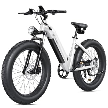 fat tire cruiser electric bike