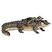 Safari Ltd Incredible Creatures Alligator with Babies