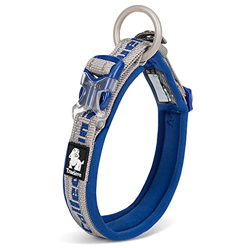 J&C Paradise X^CbV  {KX p y  3M  lC \tgpbh v ߉\ TRUELOVE (u[×O[, S)