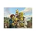 KIILAS Puzzle Shrek Fore-Ver Af-Ter, 500 pezzi, 20,5 ° x 15,1 ° C, spesso, pezzi robusti, attività impegnative in famiglia, ottima idea regalo