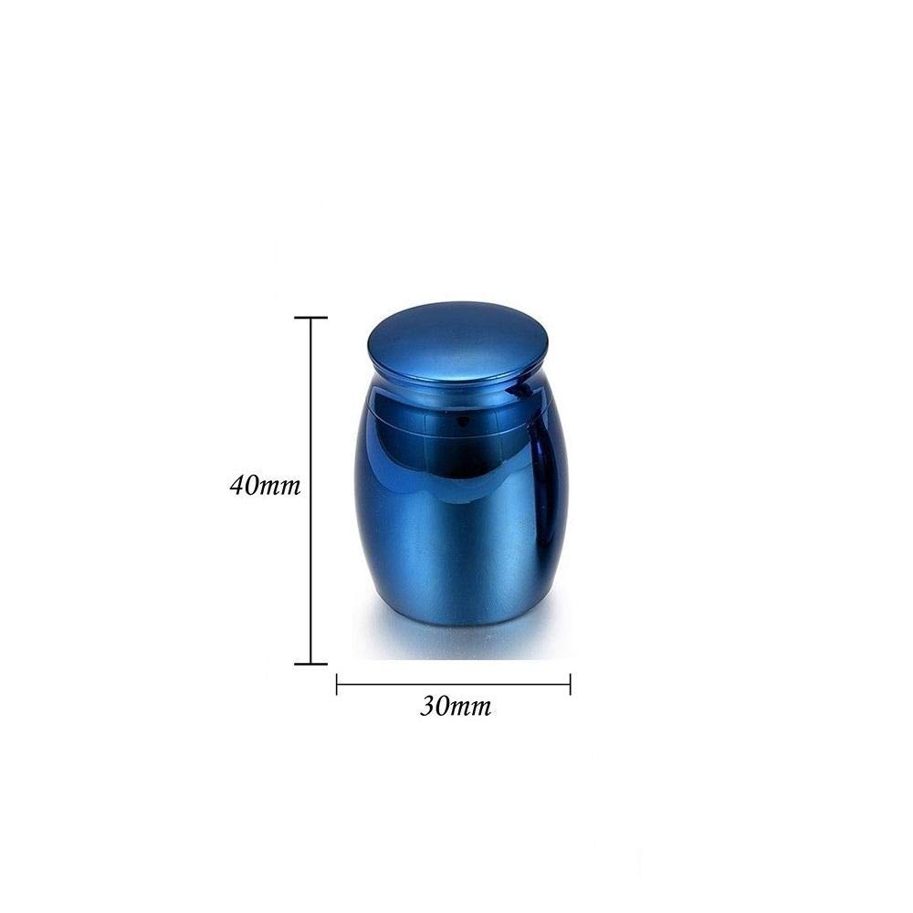 Amazon｜頭蓋骨の顔に刻まれた小さな火葬の灰、アルミニウム合金の箱