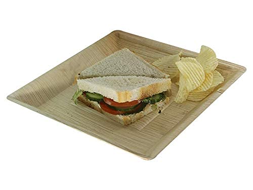 Bio Mart - Areca Palm Leaf Square Dinnerware Set With 8-Inch And 10-Inch Flat Square Dinner Plates, 15 Inches X10 Inches Oval Rectangular Platter, 5-Inch Square Bowl, And Cutlery Set, 62 Pieces #TOP6