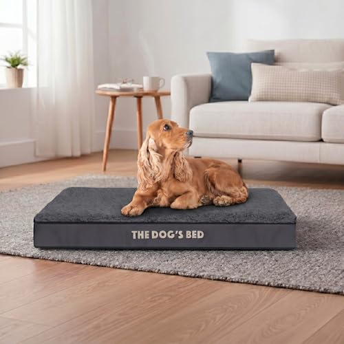 Lit orthopédique pour chien XXL gris imperméable déhoussable