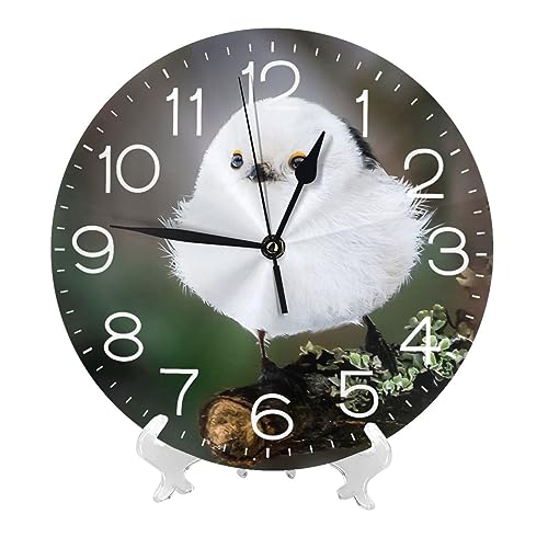 V}GiK 킢   kC |v  k Ǌ|v É  Q  蕨 CeA 吔 a25cm dg LN^[ 킢 v[g