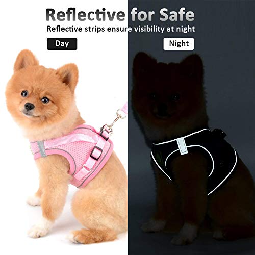 Dog Harness And Leash Set, No-Pull Puppy Vest For Small Dogs And Cats, Easy Control Vest Harness With Adjustable Straps And Reflective Strip For Outdoor Walking Training #TOP5