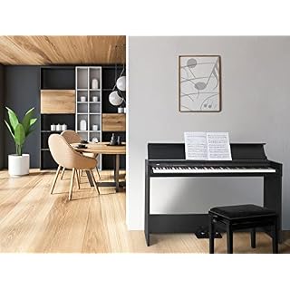FunKey DP-1088 SM Piano numérique noir mat - Les Beatles, Paul McCartney, John Lennon, RIngo Starr, George Harrison FunKey DP-1088 SM Piano numérique noir mat – Image 2