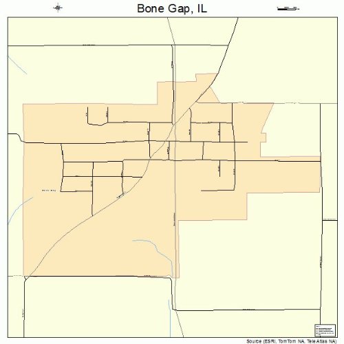 Large Street & Road Map of Bone Gap, Illinois IL Printed poster size