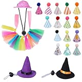 SUPERFINDINGS Bartagamen Kleidungskostüm 33 Bartagamenhut Mit 1 verstellbaren Eidechsen Tutu Rock Eidechsen Kostüm Für Halloween Weihnachten Geburtstag