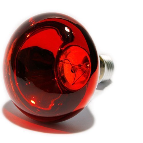 R80 240V 60W E27 RED by Crompton