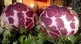 COPPA NERA (trancio sotto vuoto da 0,8KG)