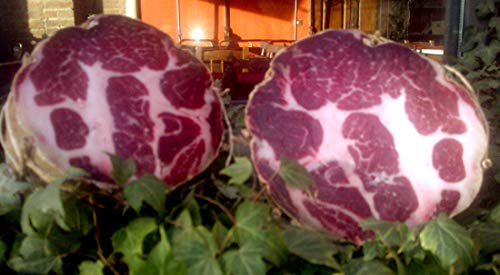 COPPA NERA (trancio sotto vuoto da 0,8KG)