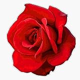 EB Store Red Rose Vinyl Waterproof Sticker Decal Car Laptop Wall Window Bumper Sticker 5 EBSTORE-STICKERS-1708 EBSTORE-STICKERS-1708