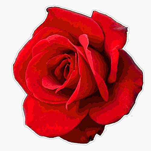 EB Store Red Rose Vinyl Waterproof Sticker Decal Car Laptop - Want It All