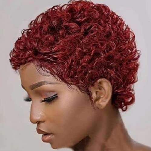 Short Afro Kinky Curly Human Hair Wigs for Black Women Brazilian Virgin Short Curly Afro Wigs Human Hair Burgundy Colored Remy Hair 150% Density 2 Inch
